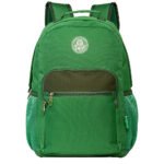 Mochila Juvenil Palmeiras 16470